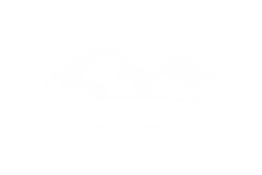 Whimsels World